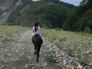 Катание на лошадях