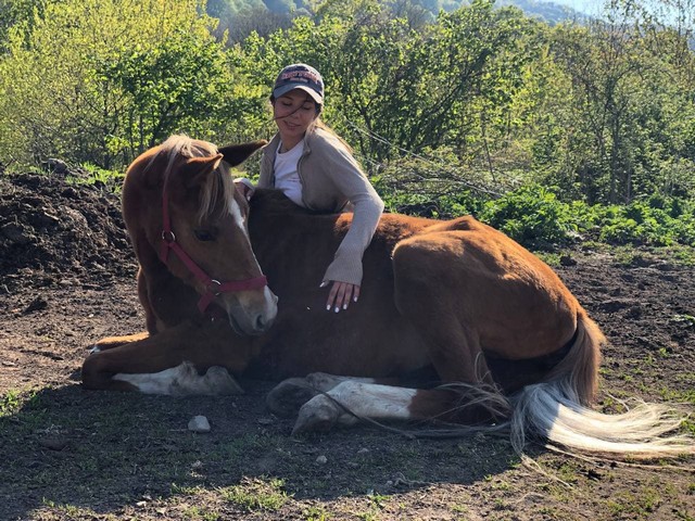 Конный клуб